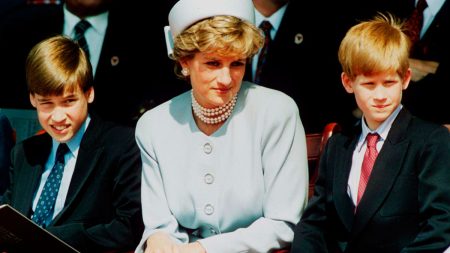 Diana would invited William and Harry to eat at McDonald’s on weekends William and Harry were going to McDonald's