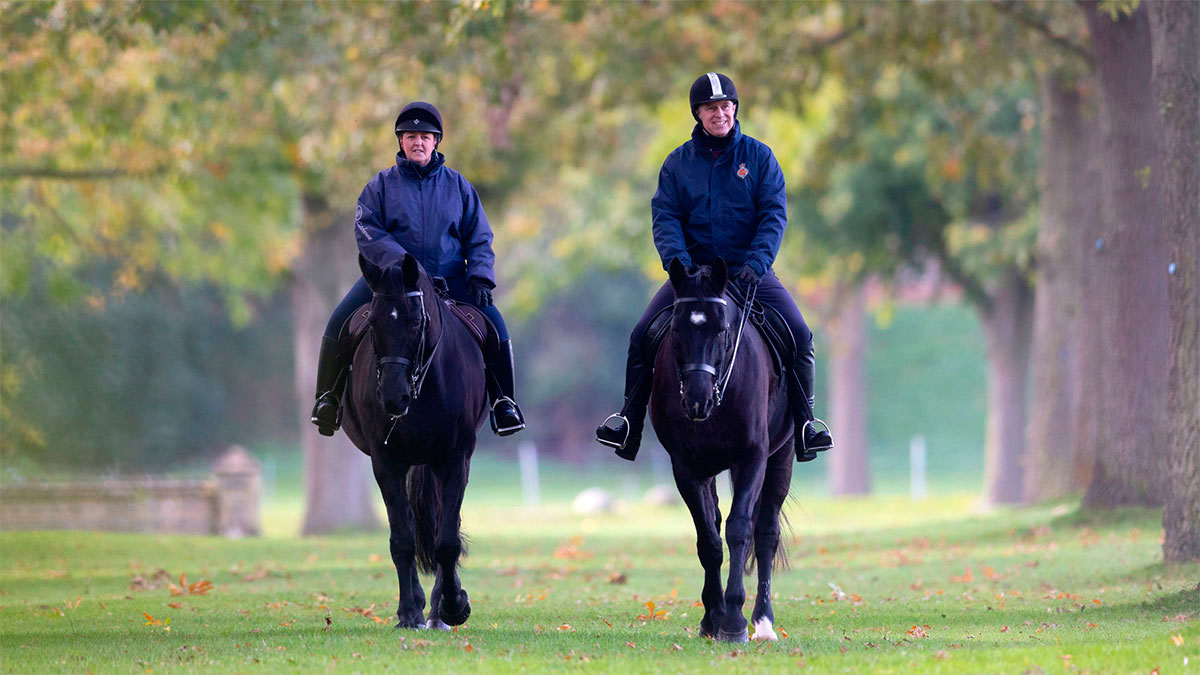Prince Andrew riding horses at Windsor Castle » Andrew of York