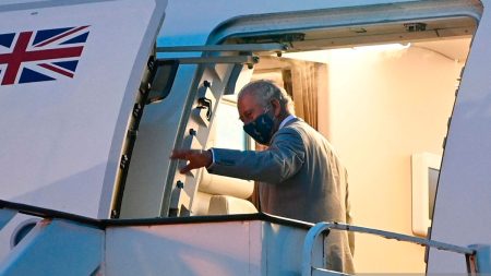 Prince Charles' plane » King Charles III