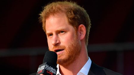 Statements by Prince Harry on Work