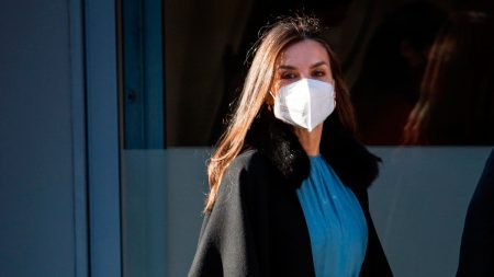 Queen Letizia's leather skirt