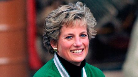 What would Princess Diana look like now? What would Princess Diana look like today