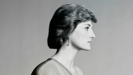 Princess Diana's hair