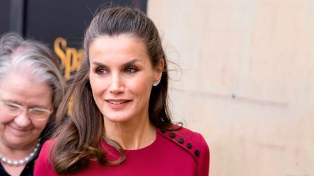Queen Letizia new dress