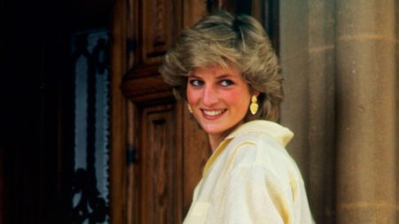 The photograph of Princess Diana that few have seen New photo of Princess Diana