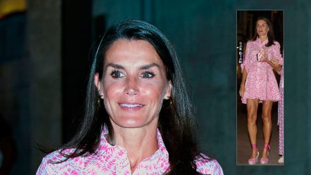 Queen Letizia's pink Zara dress