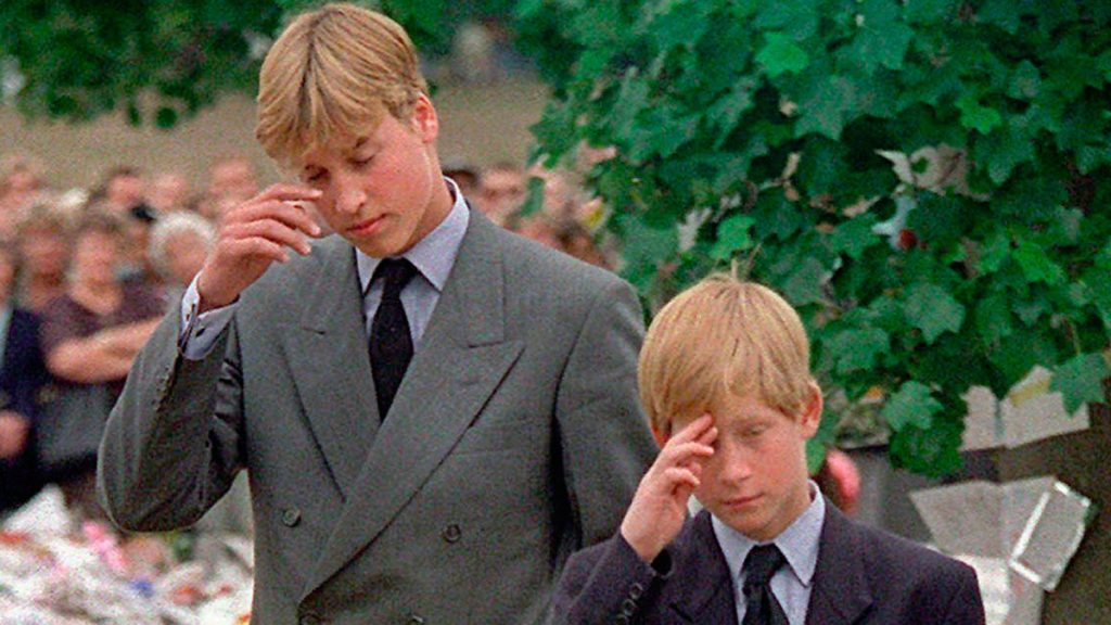 William and Harry's reaction to Princess Diana's death