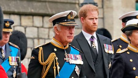 fight between King Charles III and Prince Harry