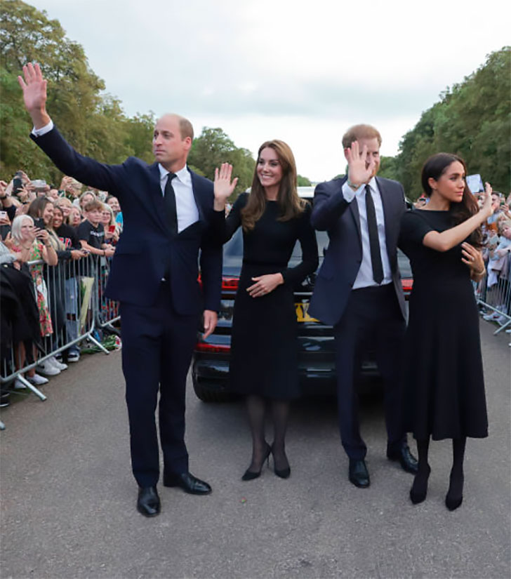 Harry and Meghan vs William and Kate