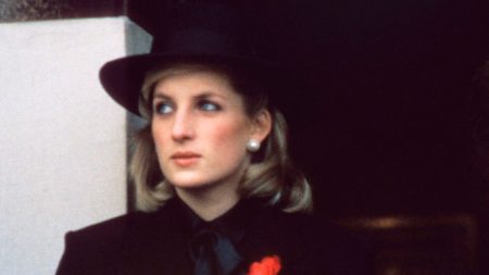 This is what Princess Diana looked like with long hair What would Princess Diana look like with long hair