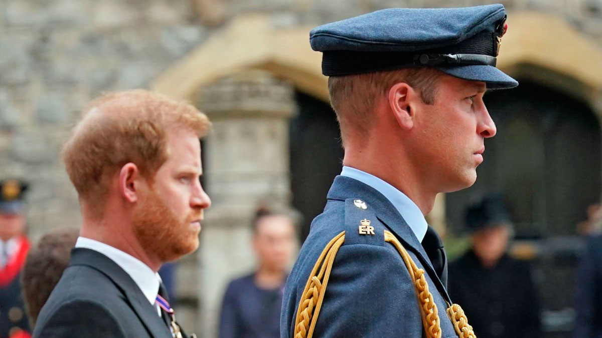 fight between King Prince William and Prince Harry