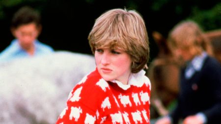 This is the famous sweater worn by Princess Diana and loved by everyone princess diana sheep sweater