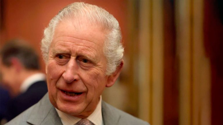 King Charles was hit by a bus while cycling king charles get hit by a bus