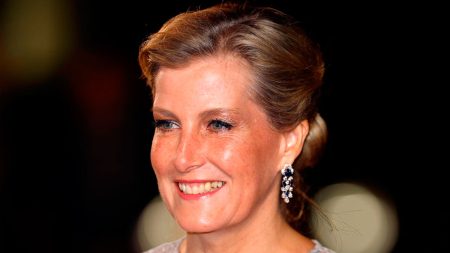 Sophie Countess of Wessex scandal