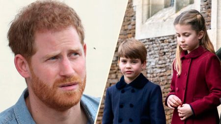 Why is Prince Harry worried about his nephews Louis and Charlotte? What did Prince Harry say about Louis and Charlotte