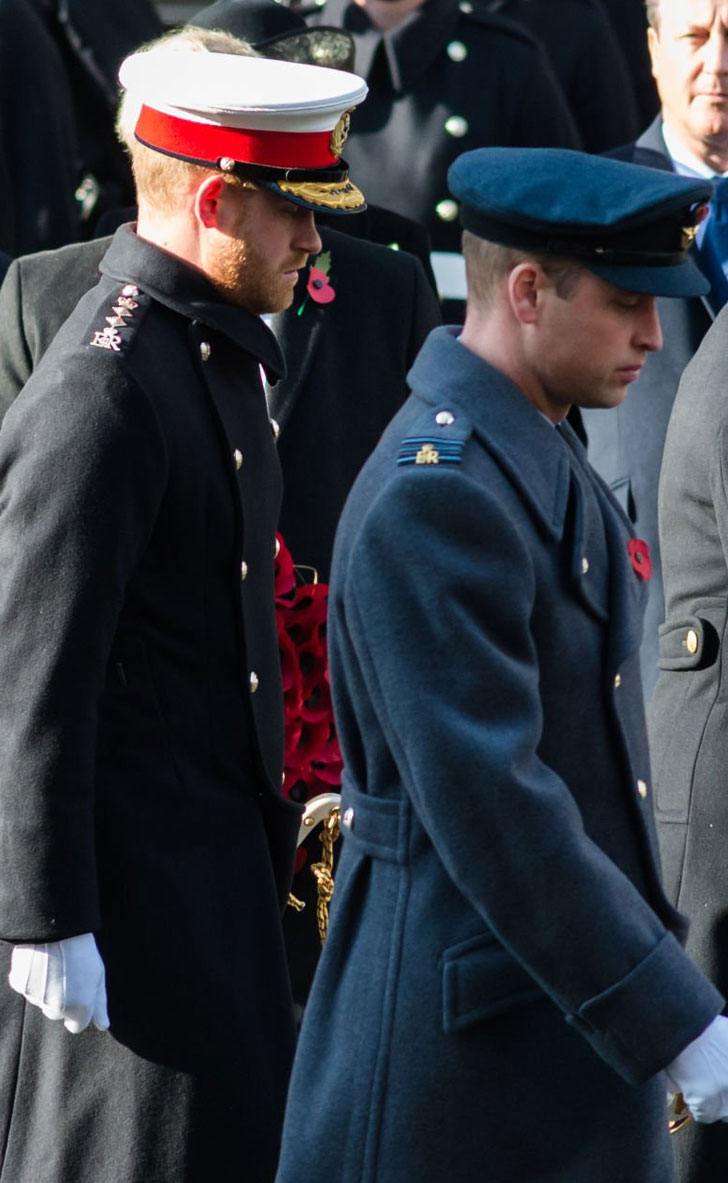 prince harry physical attack