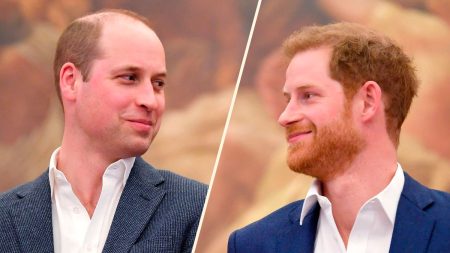 prince harry fight with william