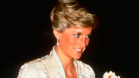 Princess Diana in New York