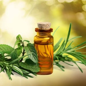 essential oils for cold sores » Health