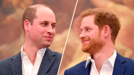 Does Prince William and Harry Have a Sister?