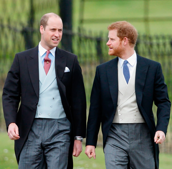 Prince William and Prince Harry. (Agency)