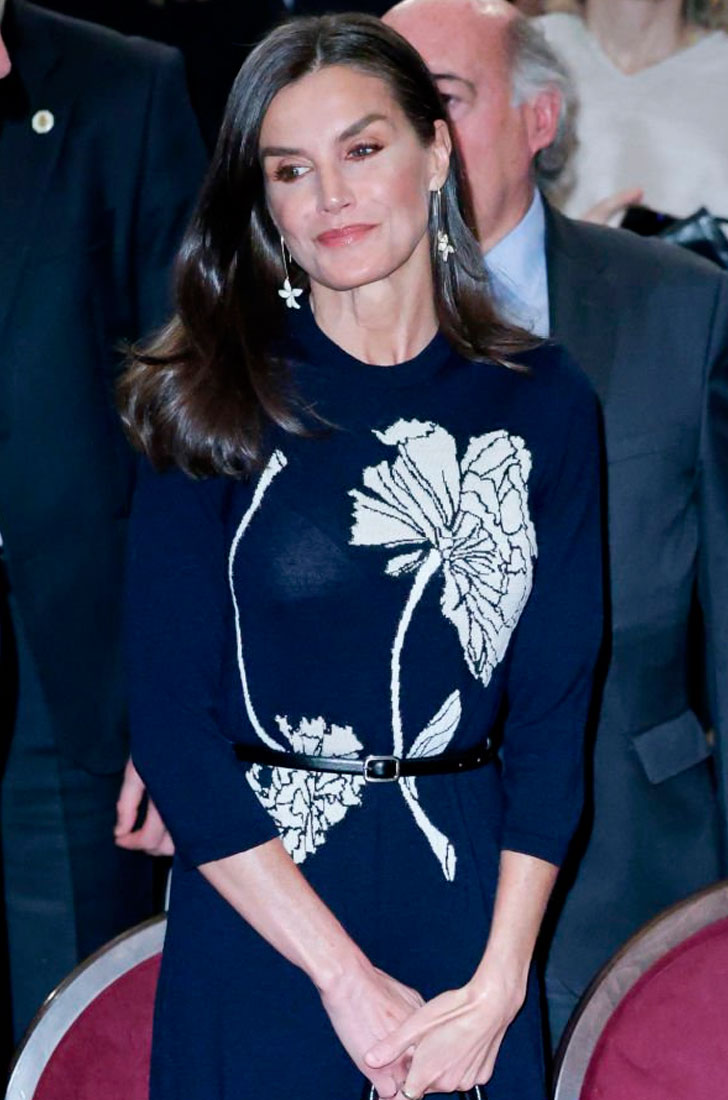 Queen Letizia's see-through dress 