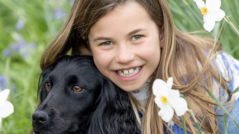 What kind of dog does Prince William have? The dog appears in the latest photo with Princess Charlotte what kind of dog does prince william have