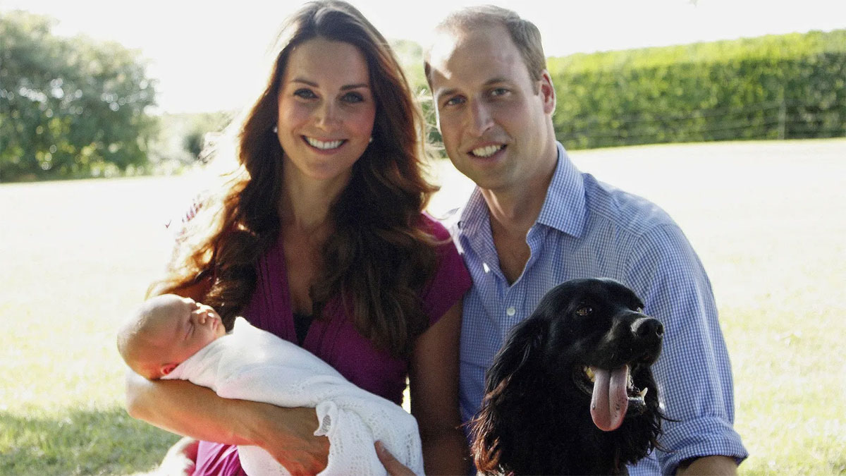 what kind of dog does prince william have