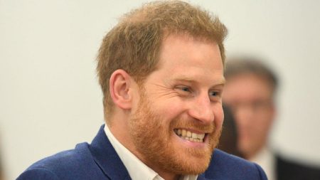 Prince Harry’s visa situation in the United States: what we know so far Prince Harry's visa