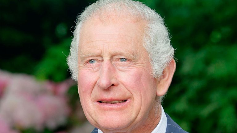 King Charles III marks a historic milestone for British passports King Charles passport