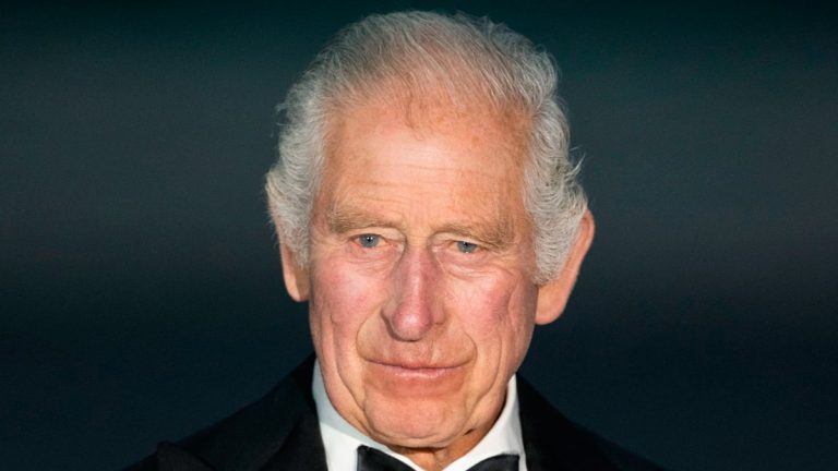 Does King Charles speak French? What other languages does he speak, and which one does he find more difficult? Does King Charles speak French?