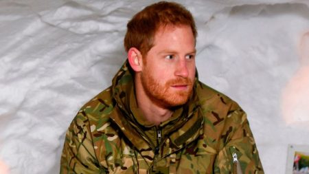 Prince Harry's military service