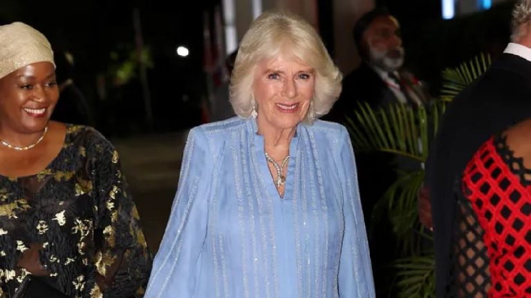This is how Queen Camilla looked at a State Dinner in Kenya: Why wasn’t she wearing a tiara? Queen Camilla's dress in Kenya