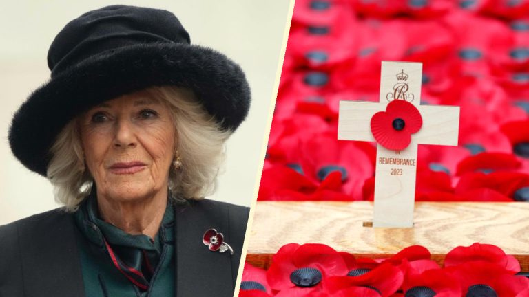 PHOTOS: Queen Camilla pays tribute to veterans at Westminster Abbey’s Field of Remembrance Queen Camilla at Westminster Abbey's Field of Remembrance.