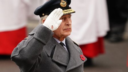 King charles Remembrance Day 2023