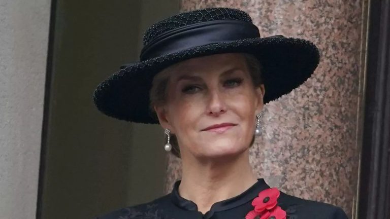 What happened to Duchess Sophie of Edinburgh “disappearing” on Remembrance Day? Sophie of Edinburgh at Remembrance Day