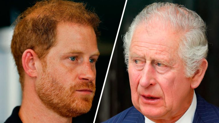 Private Meeting Between Royal Aides Suggests Prince Harry and King Charles Are Ready to Talk Discussion between Prince Harry and King Charles