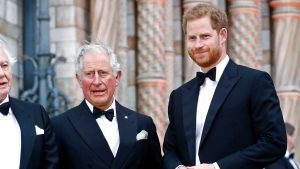 Who Leaked Prince Harry's Call to King Charles?