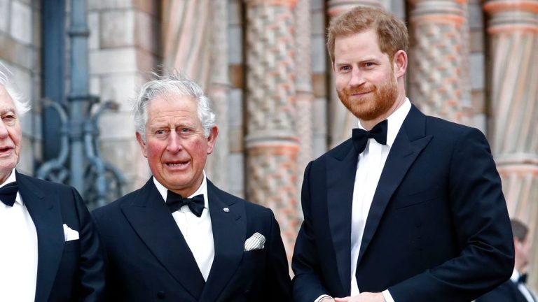 Who Leaked Prince Harry’s Private Call to King Charles? Who Leaked Prince Harry's Call to King Charles?