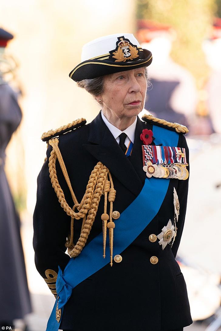 Medals on Princess Anne's uniform