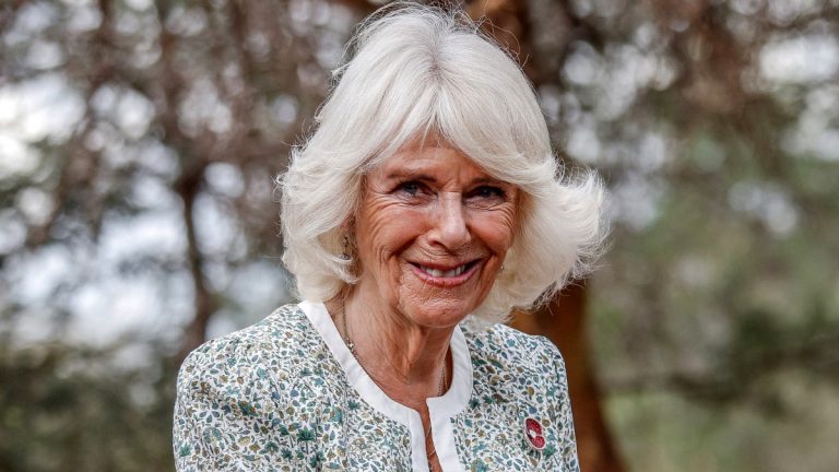 PHOTOS: Know all the details of the new printed dress of Queen Camilla Queen Camilla in a liberty print dress