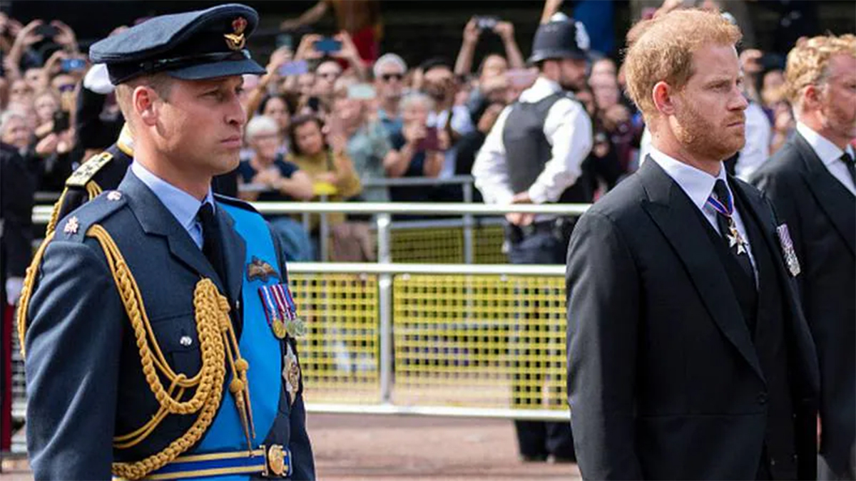 William ignores Prince Harry