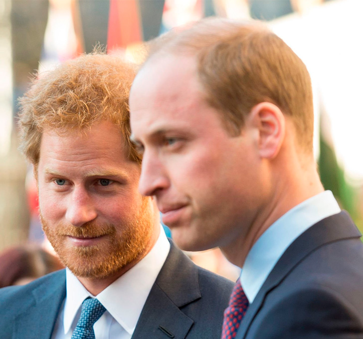 William and Harry talking about their father