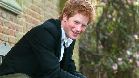 Did prince Harry go to university