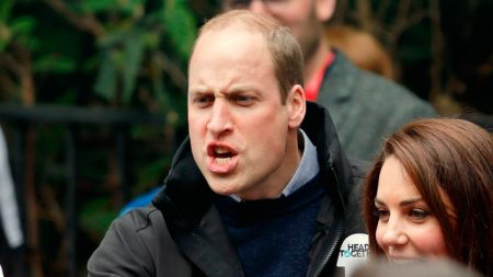 Prince William at the 2012 London Olympics