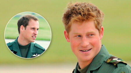 Was Prince Harry a pilot