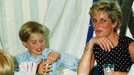 Princess Diana and Prince William viral photo