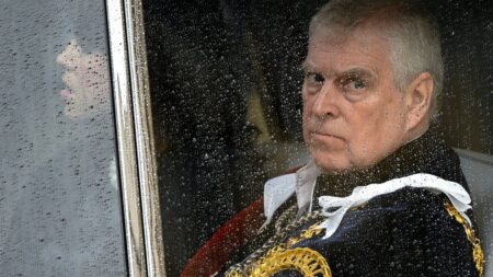 Prince Andrew and Virginia Giuffre photo