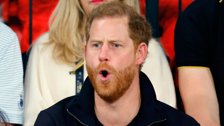 Prince Harry loses UK Supreme Court battle: What did the court decide and what happens next? Prince Harry loses UK Supreme Court battle