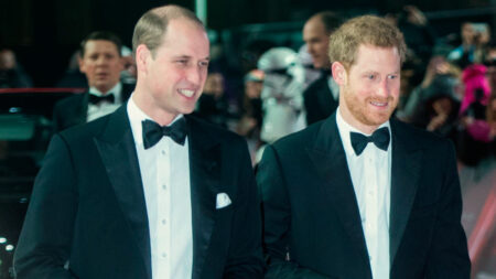William and Harry at the Star Wars Premiere